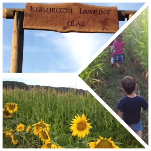 Kukuruzni labirint